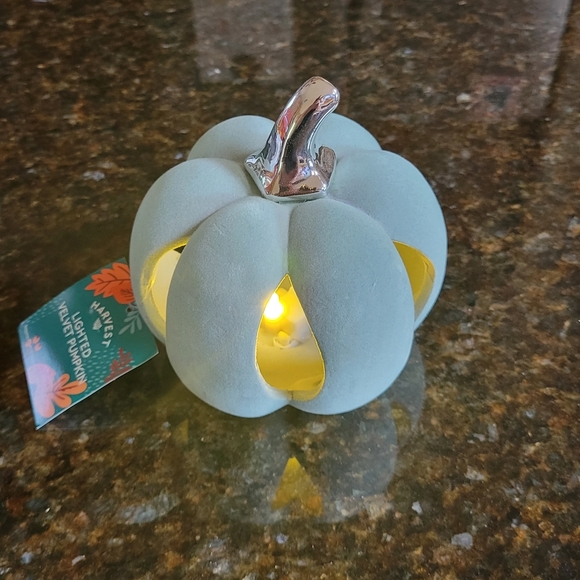 Harvest Lighted Velvet Pumpkin  Light Blue with Silver Shiny Stem  NEW - Picture 4 of 9